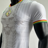 2023/24 Senegal Special Edition White Player Version Jersey