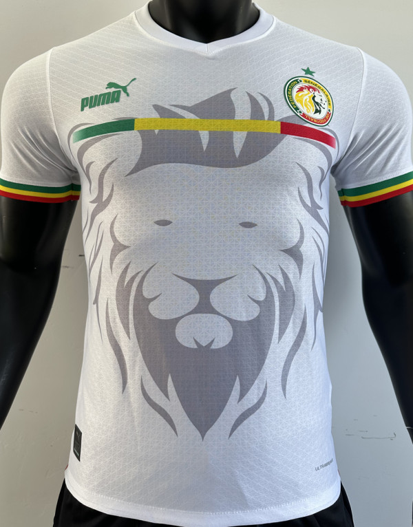 2023/24 Senegal Special Edition White Player Version Jersey