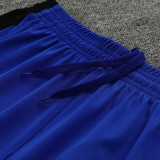 2024 In Milan Blue Vest Training Jersey(A Set)