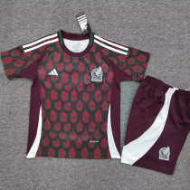 2024/25 Mexico Home Kids Soccer Jersey