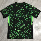 2024/25 Nigeria Green Fans Soccer Jersey