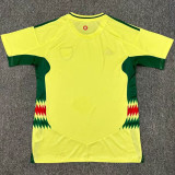 2024/25 Wales Away Yellow Fans Soccer Jersey