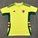 2024/25 Wales Away Yellow Fans Soccer Jersey