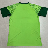 2024/25 Palmeiras Green Training Jersey