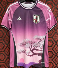 2024 Japan Special Edition Fans Soccer Jersey