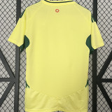 2024/25 Wales Away Yellow Fans Soccer Jersey