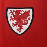 2024/25 Wales Home Red Fans Soccer Jersey