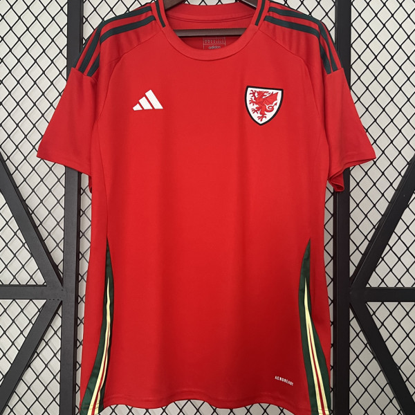 2024/25 Wales Home Red Fans Soccer Jersey