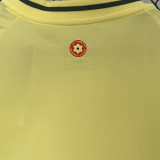 2024/25 Wales Away Yellow Fans Soccer Jersey