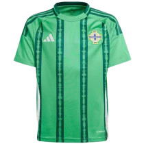 2024/25 Northern Ireland Home Green Fans Soccer Jersey