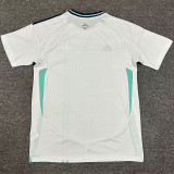 2024/25 Northern Ireland Away White Fans Soccer Jersey