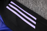 2024/25 Germany Purple Sweater Tracksuit