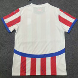 2024/25 Paraguay Home Red White Fans Soccer Jersey