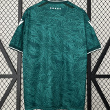 2024/25 Santiago Wanderers Home Green Fans Soccer Jersey 圣地亚哥流浪者