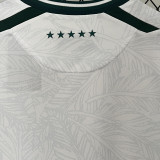 2024/25 Santiago Wanderers Away White Fans Soccer Jersey 圣地亚哥流浪者