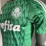 2024/25 Palmeiras Special Edition Green Player Version Jersey （AD~啊迪款）