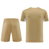 2022 Nk White Khaki Short Training Jersey(A Set)