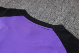 2024/25 Germany Purple Training Tracksuit