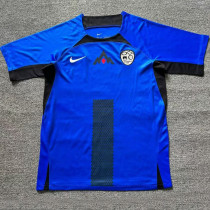 2024/25 Slovenia Away Blue Fans Soccer Jersey 斯洛文尼亚