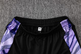 2024/25 Germany Purple Kids Sweater Tracksuit