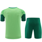 2024/25 Palmeiras Green Training Tracksuit
