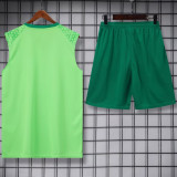 2024/25 Palmeiras Green Vest Training Jersey(A Set)