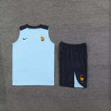 2024/25 France Light Blue Vest Training Jersey(A Set)