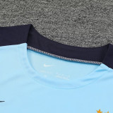 2024/25 France Light Blue Vest Training Jersey(A Set)
