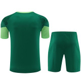 2024/25 Palmeiras Dark Green Training Tracksuit