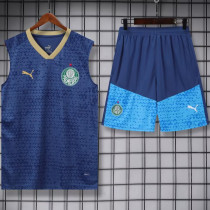 2024/25 Palmeiras Sapphire Blue Vest Training Jersey(A Set)