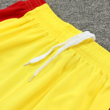 2024/25 Liv Yellow Vest Training Jersey(A Set)