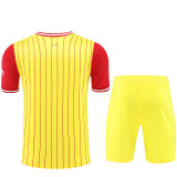 2024/25 Liv Yellow Training Tracksuit