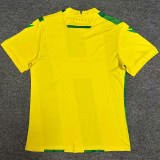 2024/25 Nantes Home Yellow Fans Soccer Jersey