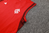 2024/25 Internacional Red Vest Training Jersey(A Set)