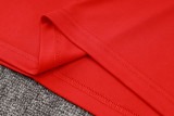 2024/25 Internacional Red Vest Training Jersey(A Set)