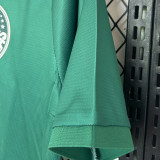 2024/25 Palmeiras Special Edition Green Fans Soccer Jersey