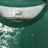 2024/25 Palmeiras Special Edition Green White Fans Soccer Jersey