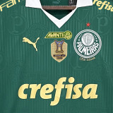 2024/25 Palmeiras Special Edition Green Fans Soccer Jersey