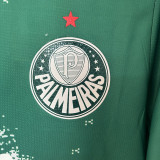 2024/25 Palmeiras Special Edition Green White Fans Soccer Jersey