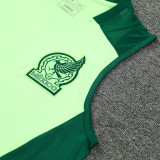 2025 Mexico Light Green Vest Training Jersey(A Set)