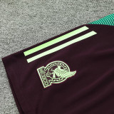 2025 Mexico Brown Training Tracksuit