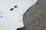 2025 TH FC Grey Vest Training Jersey(A Set)
