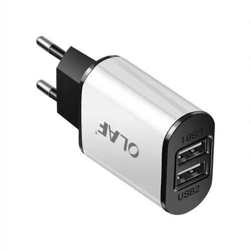 5V 2A Fast Charging Dual USB Wall Charger