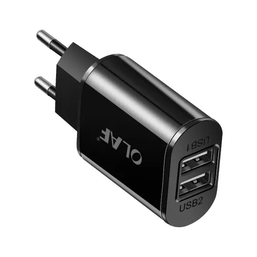 5V 2A Fast Charging Dual USB Wall Charger