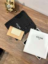 セリーヌコピー 財布 CELINE 2020新作 カードケース N076-1