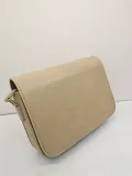 セリーヌバッグ CELINE2022新しいTriompheメッセンジャーバッグ