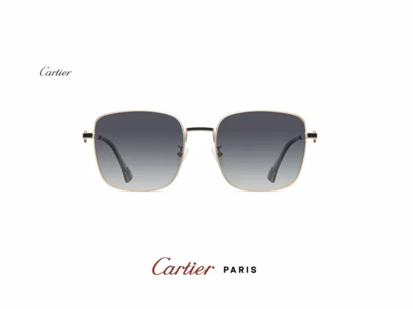 カルティエサングラスCARTIER 2023新作 レディース 偏光レジンメガネ