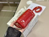 ディオールバッグDIOR 2023新作 ダイアナ バッグ