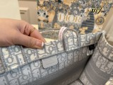 ディオールバッグDIOR 2023新作 キャンバス 刺繍 プリント ロゴ トートバッグ