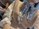 ディオールマフラーDIOR 2023新作 ビル二層ヘアタイ